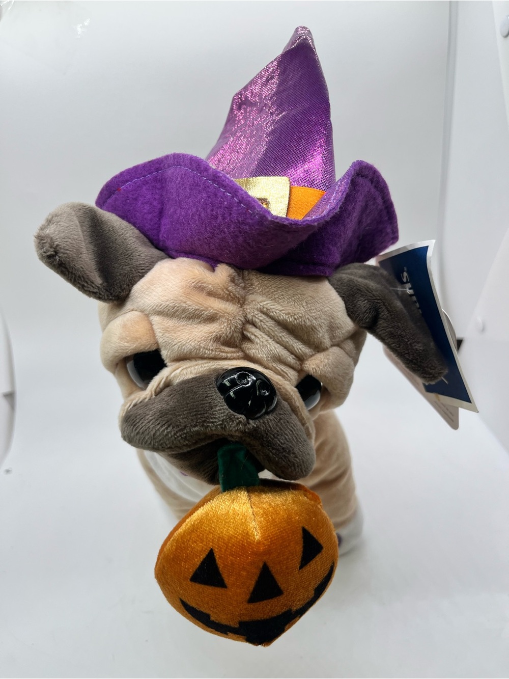 Gemmy Pug Halloween Costume with Purple Witch Hat and Orange Pumpkin